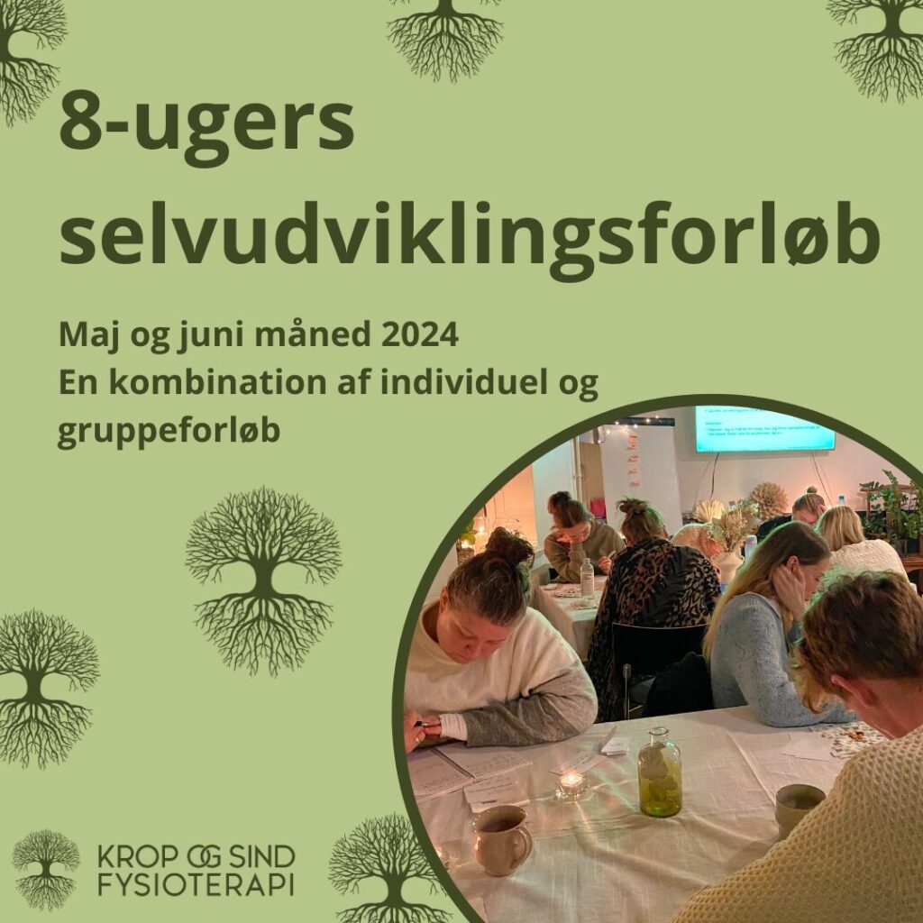 Selvudviklingsforløb - Nå dit mål Kropsterapi Coaching