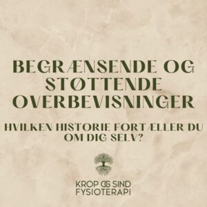 Begrænsende og støttende overbevisninger