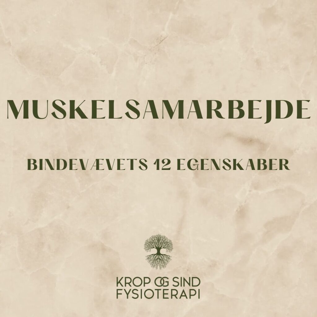 FAMO Fascia movement bindevæv muskelsamarbejde Odense