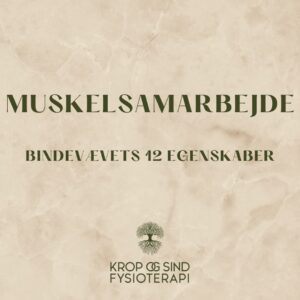 FAMO Fascia movement bindevæv muskelsamarbejde Odense