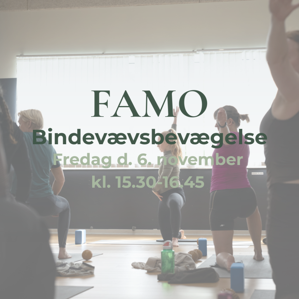 FAMO bindevæv november Odense