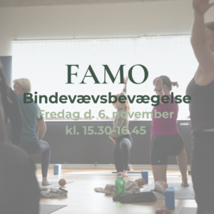 FAMO bindevæv november Odense