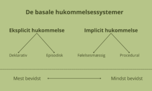 De basale hukommelsessystemer - traumer 