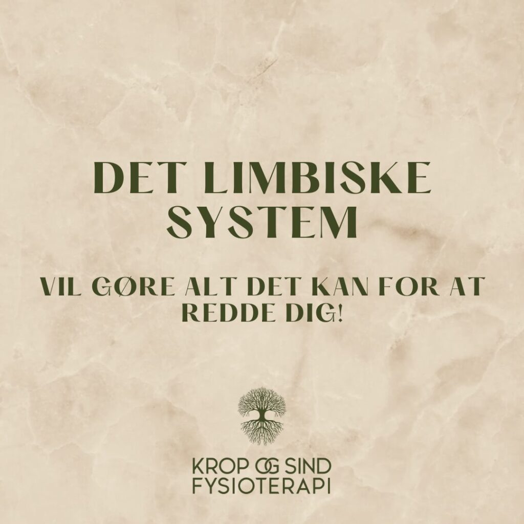 Det limbiske system - traumer - kamp/flugt/frys