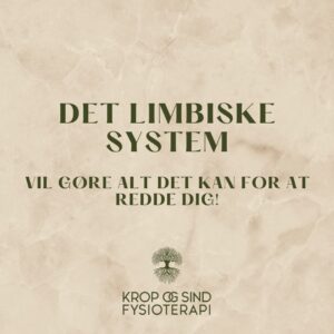 Det limbiske system - traumer - kamp/flugt/frys