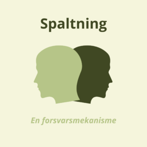 Spaltning - traumer - kropsterapi